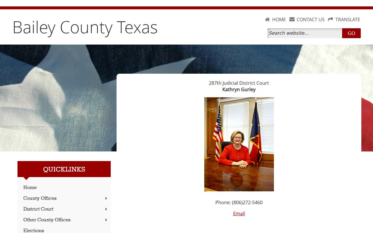 Bailey County page for the 287th Judicial District Court